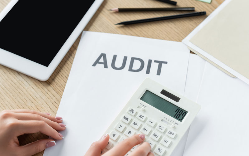 Audit Support & Assurance Assistance